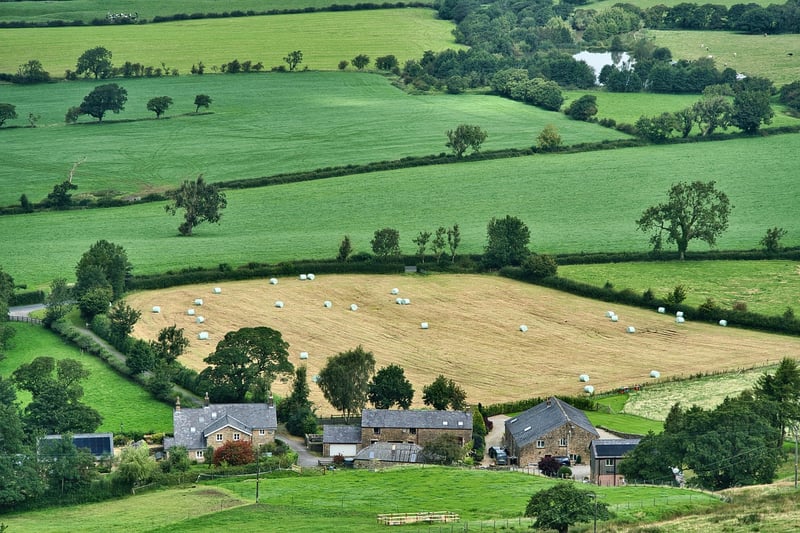 Farm-to-Table