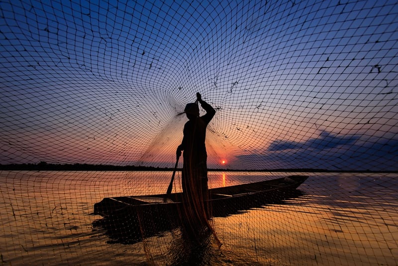 Fishing Net Drapes